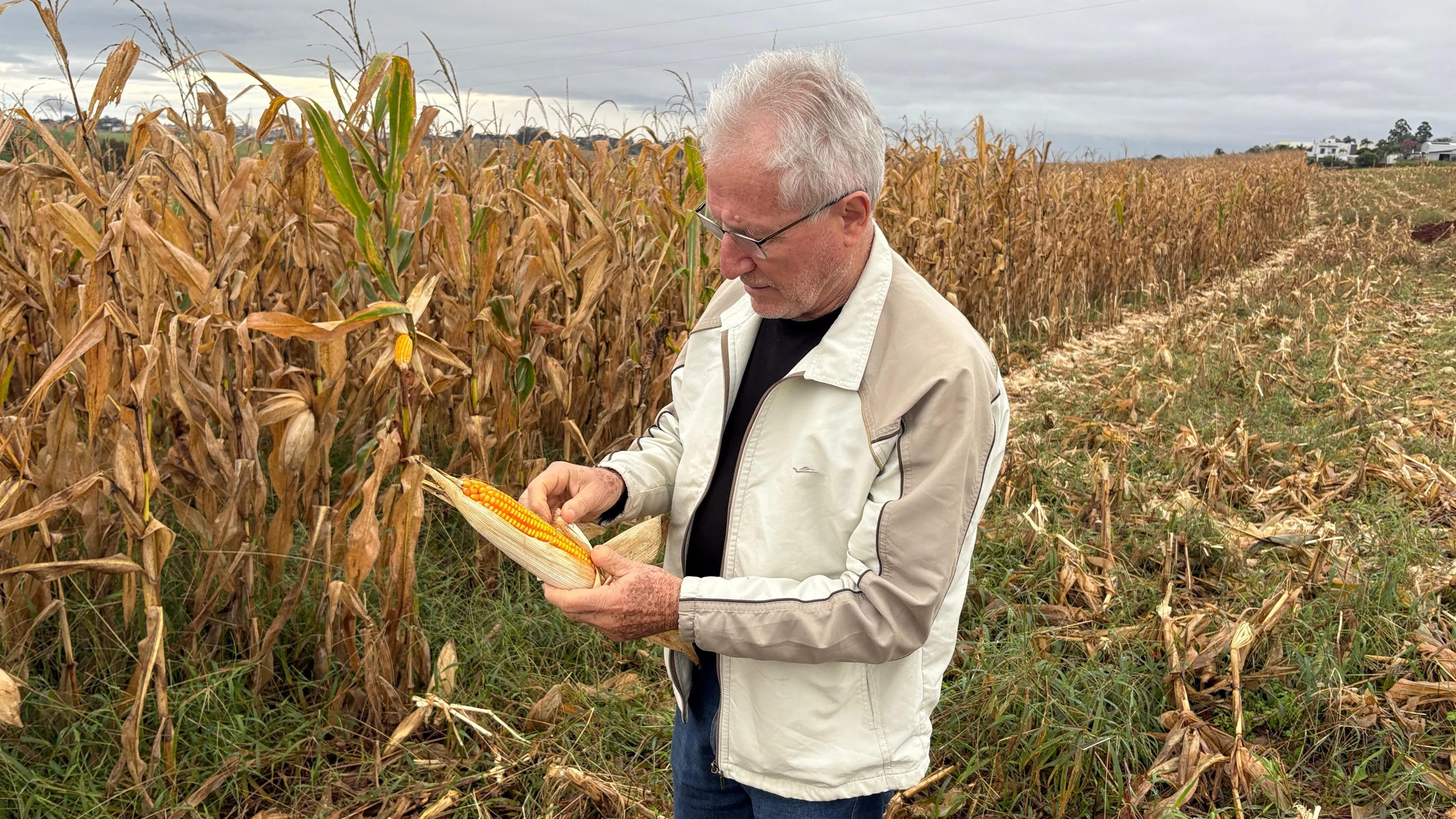Engenheiro agrônomo Sergio Carlos Empinotti, da regional de Ivaiporã