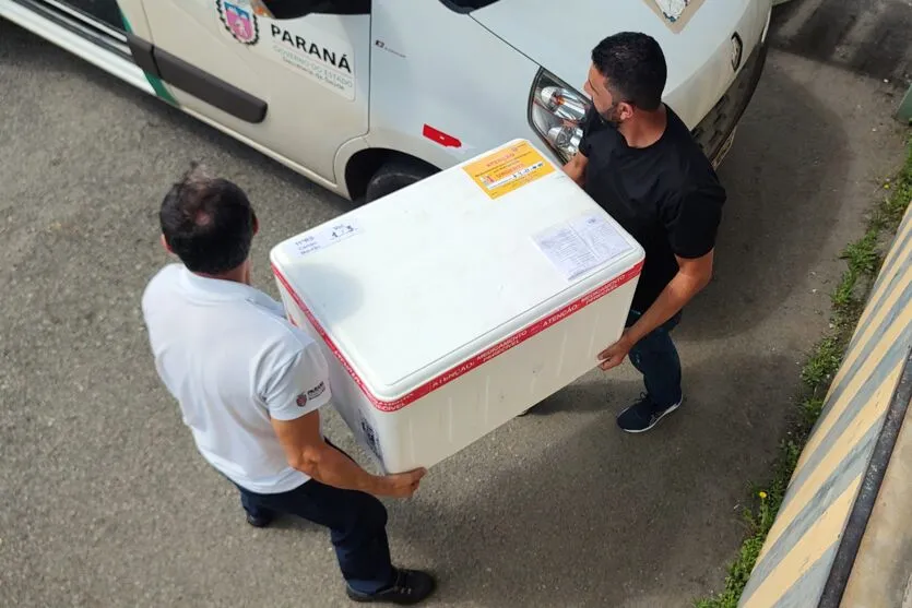 Distribuição de vacinas contra Covid 19, para as regionais de saúde do Paraná, no Cemepar, em Curitiba