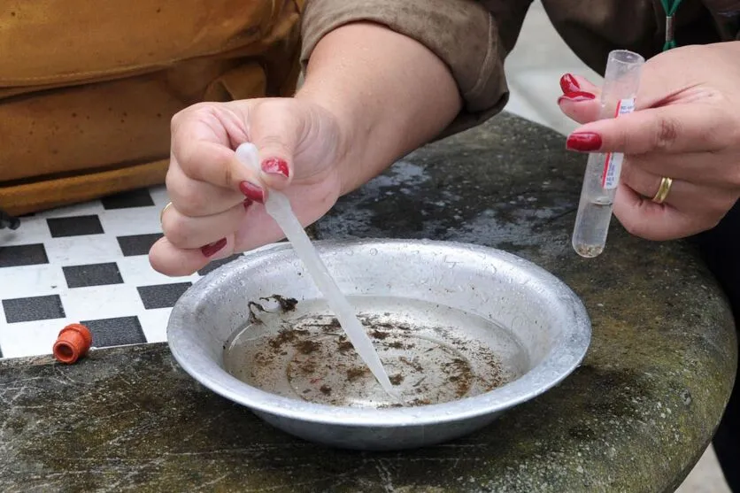 Mutirão Contra a Dengue em Paranaguá
Curitiba,30/11/2015.