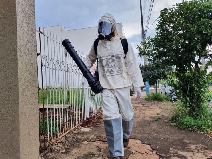 Tribuna do Norte – Während Dengue-Fälle zunehmen, geraten Faxinal und Bom Sucesso in eine Epidemie