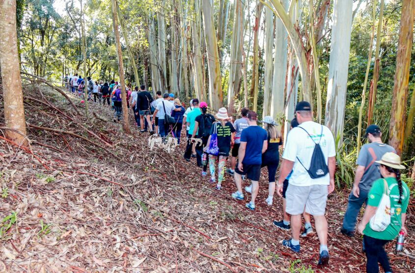 Caminhada na Natureza – Circuito Rio da Onça