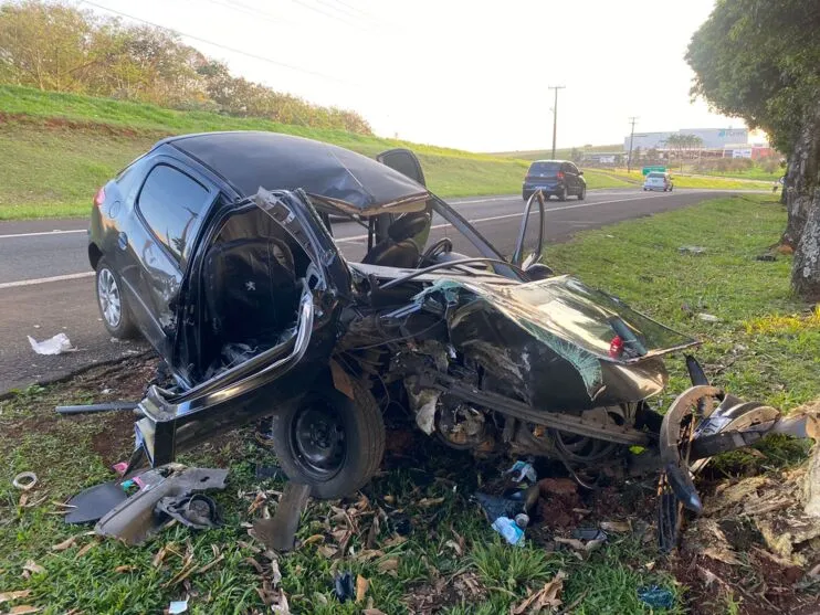 Carro saiu da pista e bateu de frente com uma árvore
