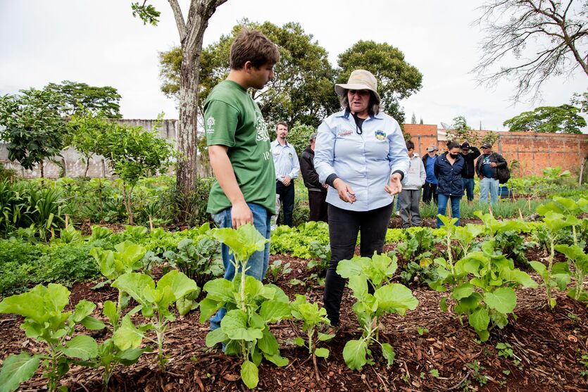 Pampa é ameaçado com rápido desaparecimento da fauna e flora