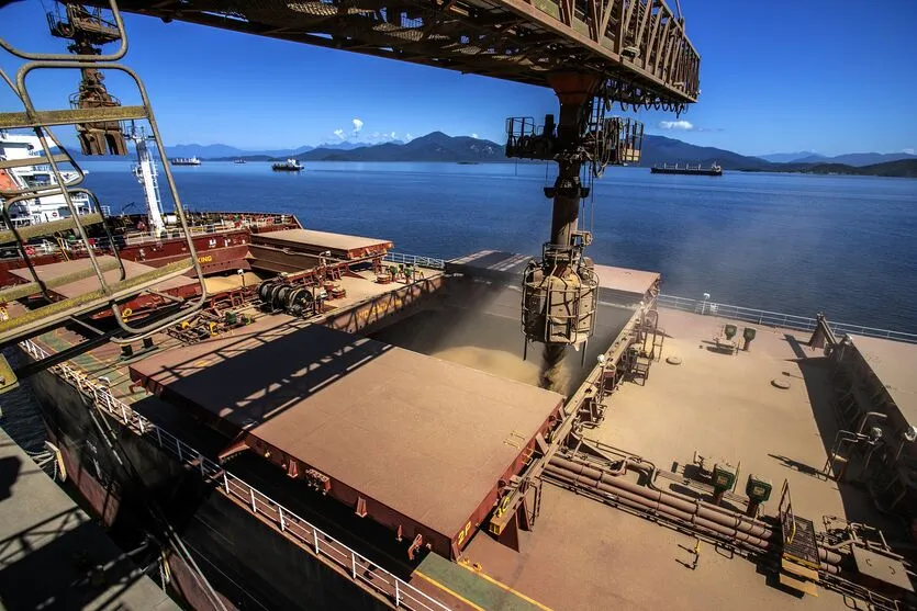 Terminais do Porto de Paranaguá fazem projeção para as exportações de granéis sólidos para 1º tri - Paranaguá, 20/01/2022