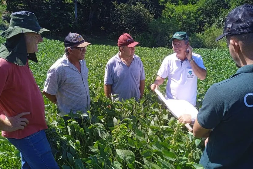 Soja orgânica aumenta o rendimento de produtores de Jardim Alegre