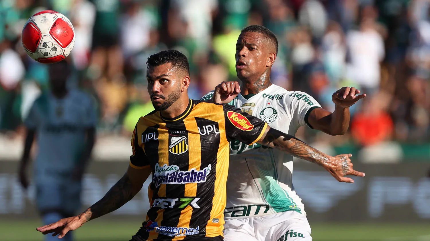 O jogador Caio Paulista, da SE Palmeiras, disputa bola com o jogador do G Novorizontino, durante partida válida pela primeira rodada, do Campeonato Paulista, Série A1, no Estádio Dr. Jorge Ismael de Biasi. (Foto: Cesar Greco/Palmeiras/by Canon)