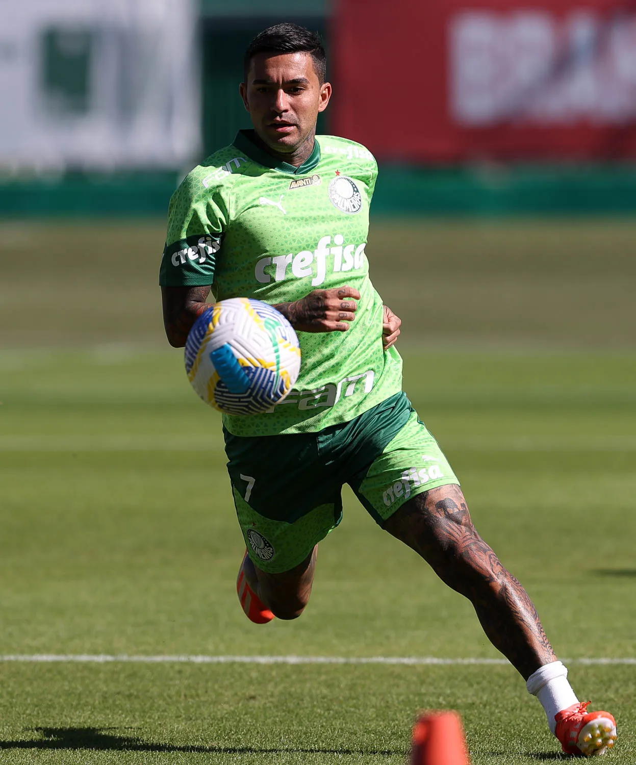 O jogador Dudu, da SE Palmeiras, durante treinamento, na Academia de Futebol. (Foto: Cesar Greco/Palmeiras/by Canon)