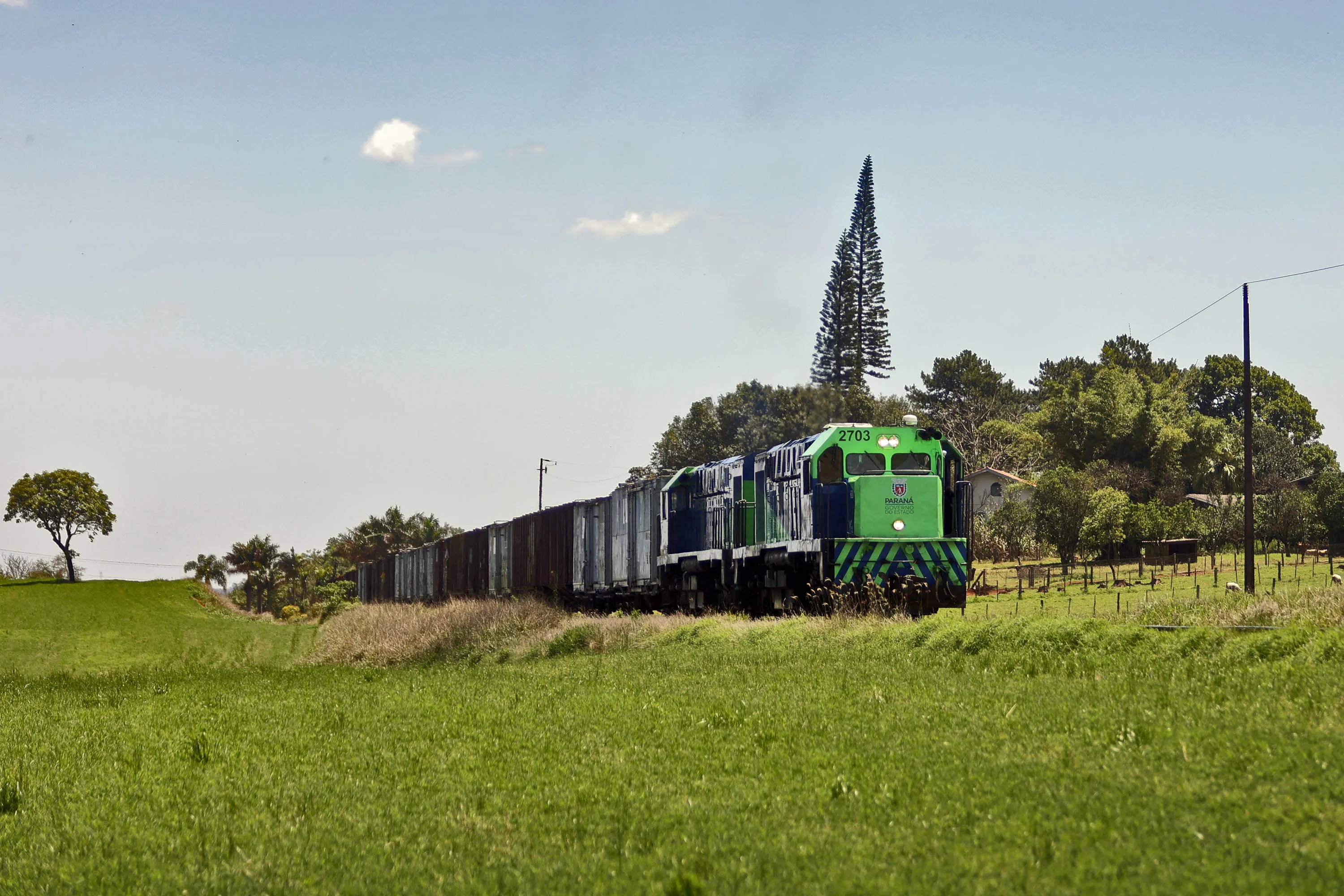 A Estrada de Ferro Paraná Oeste S/A, ou Ferroeste, é uma empresa ferroviária estatal brasileira criada em 15 de março de 1988, que tem como principal acionista o estado do Paraná. Está no ranking das 500 maiores empresas do Sul do Brasil e entre as 100 maiores do Paraná. Seu centro de operações está localizado em Cascavel