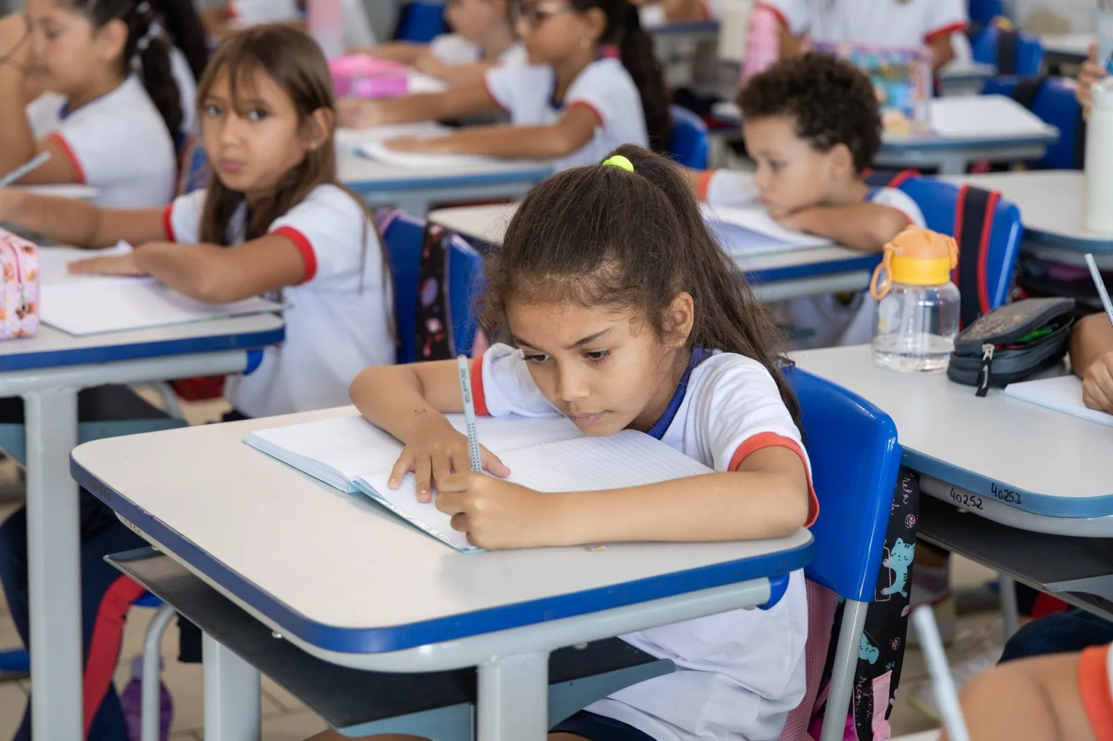 Estudantes estão bem avaliados nas duas disciplinas
