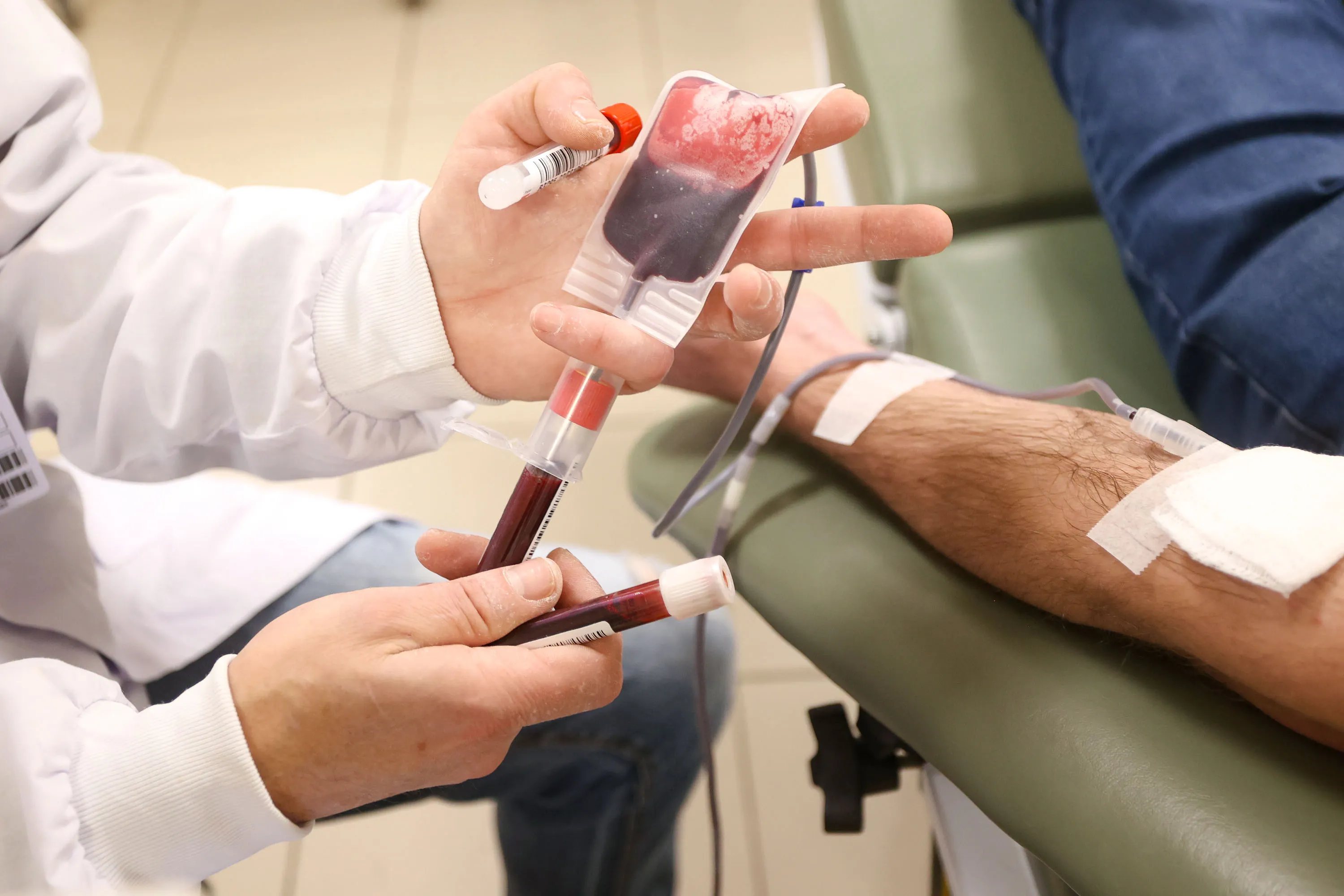 Hemepar, doação de sangue
Foto Gilson Abreu