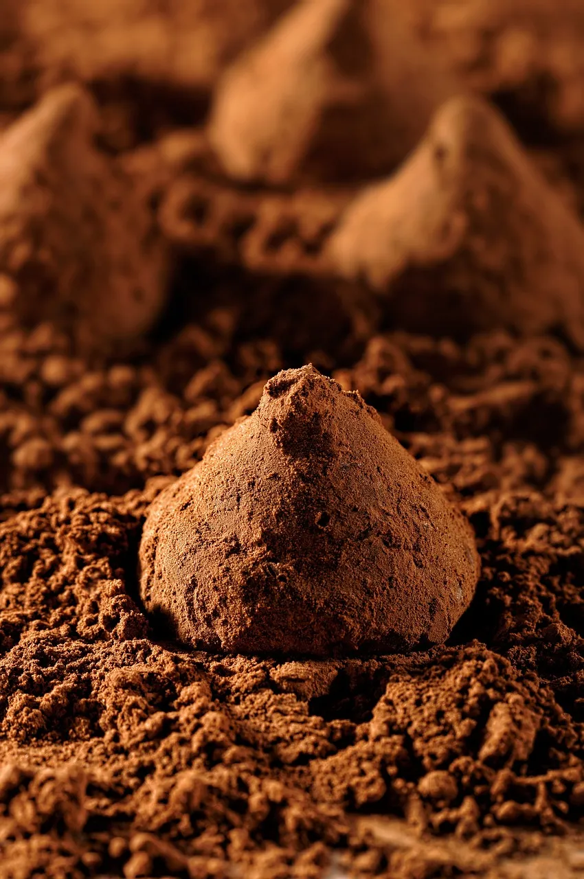 Trufa de chocolate e café