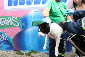 Imagem descritiva da notícia Ação em Heliópolis oferece serviços gratuitos e variados neste sábado