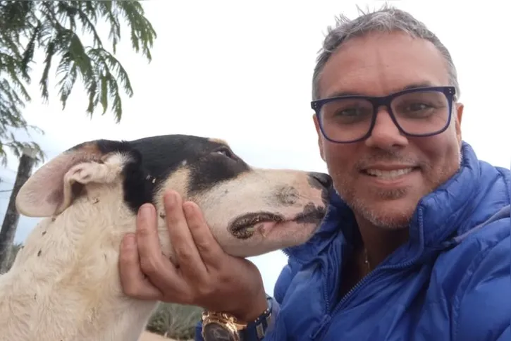 Imagem ilustrativa da imagem Fogos de artifício acarretam sofrimento físico e risco para animais