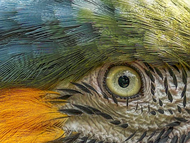 Imagem ilustrativa da imagem O ano de 2025 pelas lentes da Agência Brasil