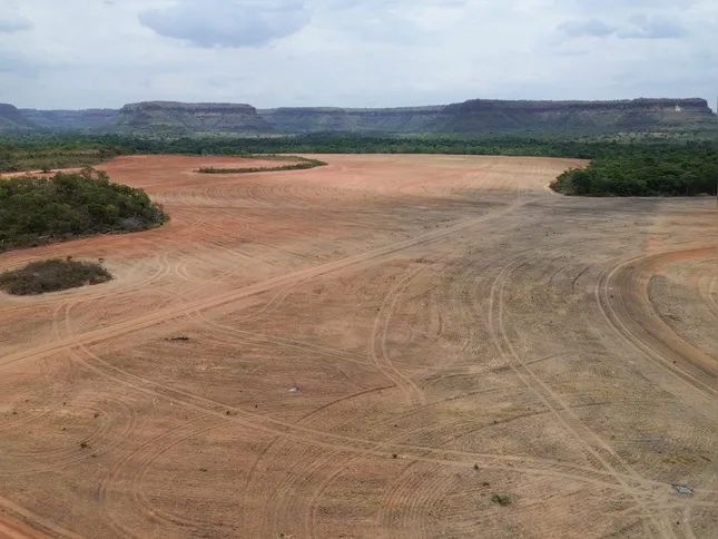 Imagem ilustrativa da imagem O ano de 2025 pelas lentes da Agência Brasil