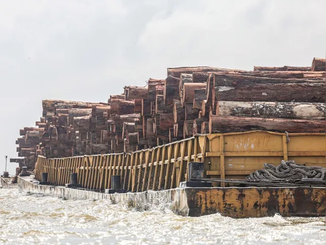 Imagem ilustrativa da imagem O ano de 2025 pelas lentes da Agência Brasil