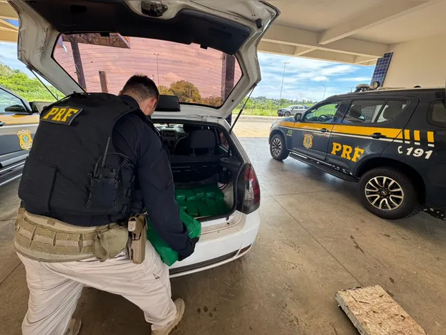 Imagem ilustrativa da imagem PRF bate recorde de apreensões de drogas no Paraná
PRF bate recorde de apreensões de drogas no Paraná