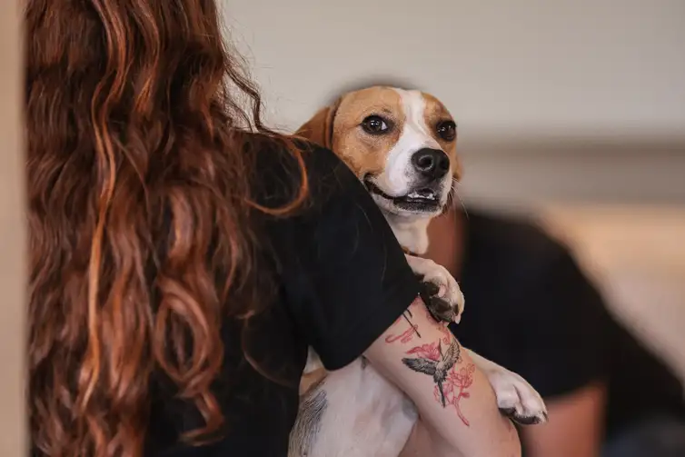 Imagem descritiva da notícia Convívio com animais e ações educativas ensinam a combater violência