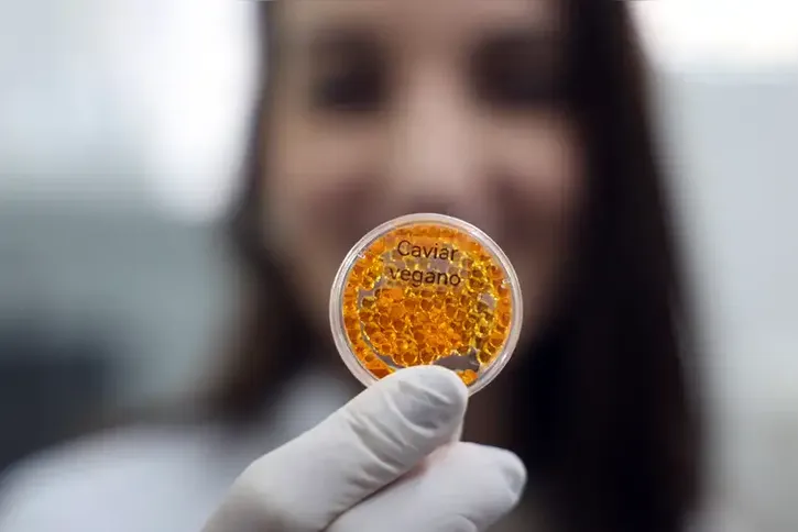 Imagem ilustrativa da imagem Embrapa produz em laboratório salmão, caviar e anéis de lula veganos