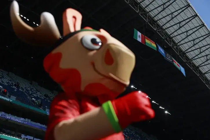 Imagem ilustrativa da imagem Mascotes do Mundial incluem a águia-careca, animal salvo de extinção