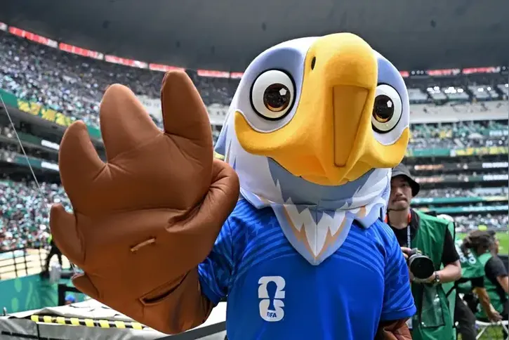 Imagem ilustrativa da imagem Mascotes do Mundial incluem a águia-careca, animal salvo de extinção