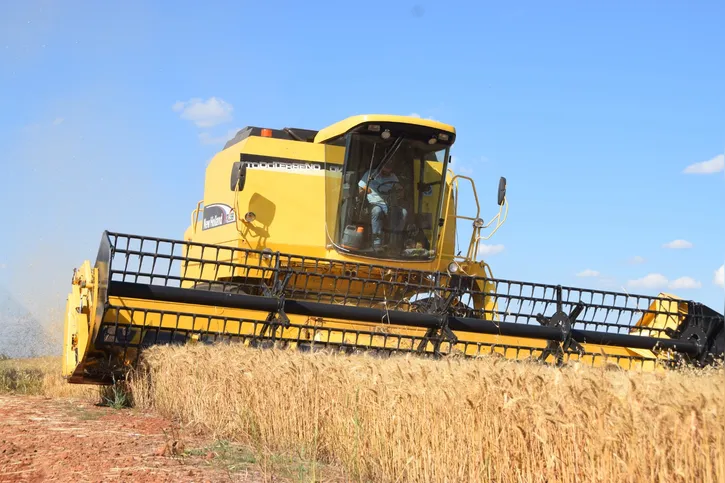 Imagem ilustrativa da imagem Faturamento do agronegócio regional movimentou R$ 8,4 bilhões em 2025