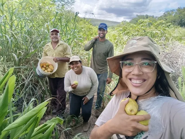 Imagem ilustrativa da imagem Mercado financeiro abre espaço às iniciativas que preservam a floresta