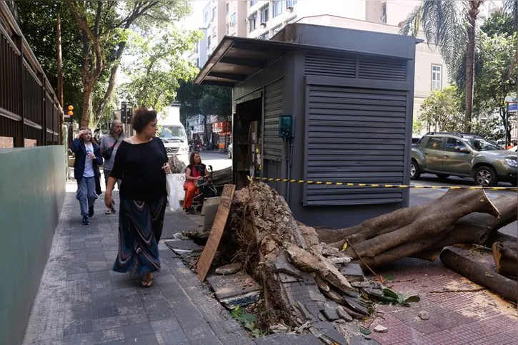 Imagem ilustrativa da imagem Mais de 200 mil continuam sem energia no Rio após vendaval