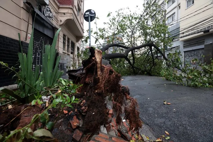 Imagem ilustrativa da imagem Meteorologistas dizem que não é possível associar ventanias ao El Niño