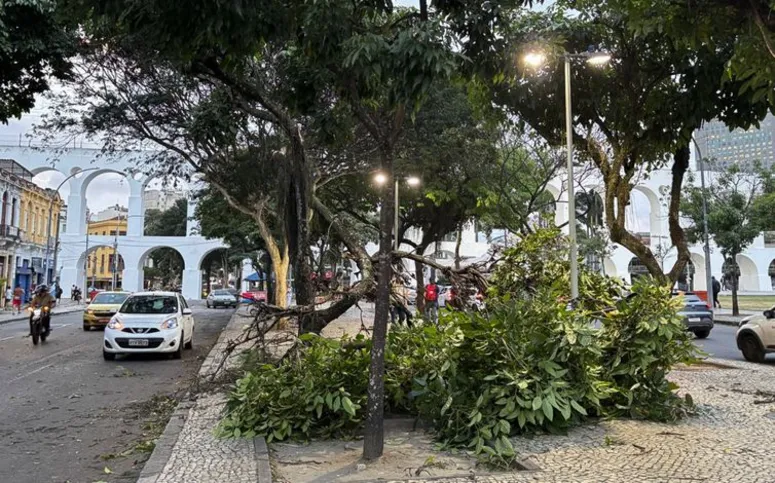 Imagem ilustrativa da imagem Polícia investiga morte de três eletrocutados após ventania no Rio