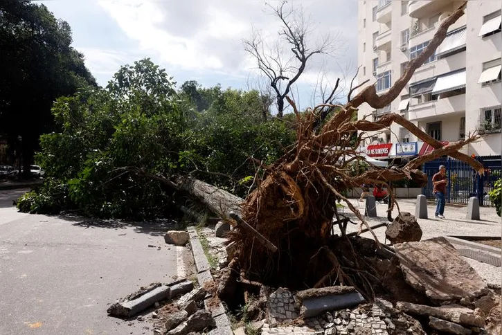 Imagem ilustrativa da imagem Rede elétrica mais resiliente requer investimento de concessionárias