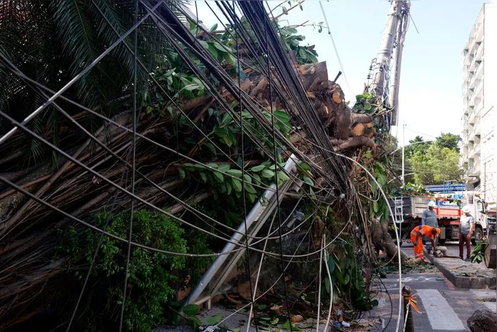 Imagem ilustrativa da imagem Rede elétrica mais resiliente requer investimento de concessionárias