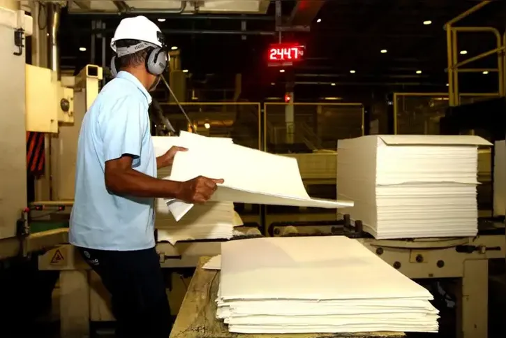 Imagem ilustrativa da imagem Produção florestal no país alcança recorde de R$ 47,9 bilhões em 2025