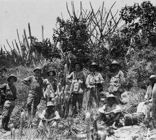 Imagem ilustrativa da imagem Jardim Botânico do Rio expõe imagens da missão belga de 1922 ao Brasil