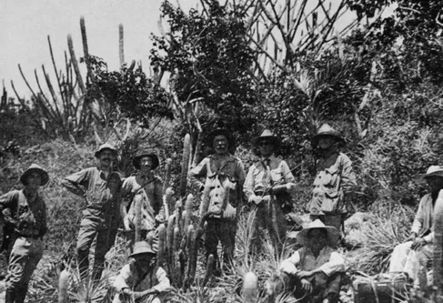 Imagem descritiva da notícia Jardim Botânico do Rio expõe imagens da missão belga de 1922 ao Brasil