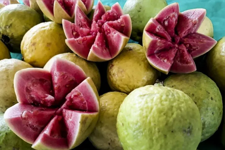 Imagem ilustrativa da imagem Goiaba produzida no norte do Paraná ganha o mundo