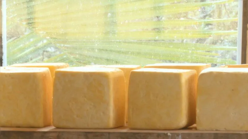 Imagem ilustrativa da imagem Maçã, queijo e vinho formam trio perfeito para degustar em São Joaquim