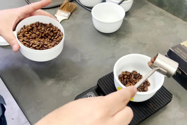 Imagem ilustrativa da imagem Mantiqueira de Minas conquista o mercado de cafés especiais