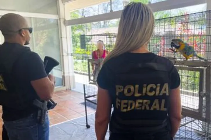 Imagem ilustrativa da imagem Araras feridas são resgatadas durante fiscalização de clube no Rio