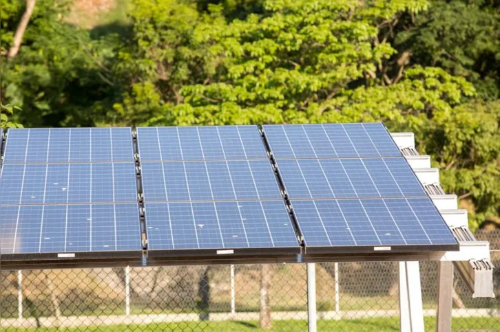 Imagem ilustrativa da imagem Brasil usará COP27 para atrair investimentos em energia verde