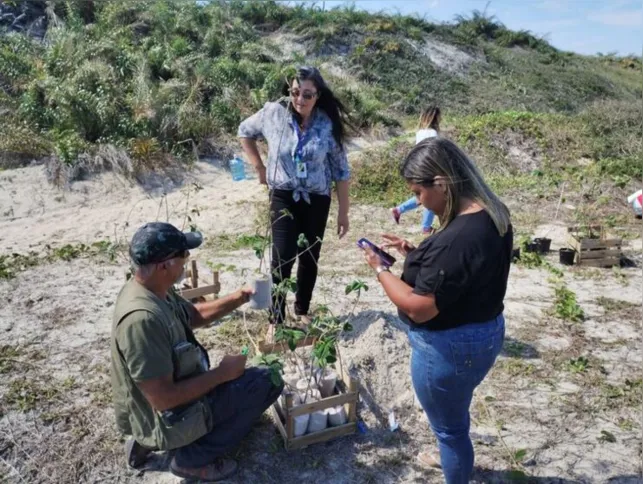 Imagem ilustrativa da imagem Espécie de planta rara volta para ambiente de origem em Cabo Frio