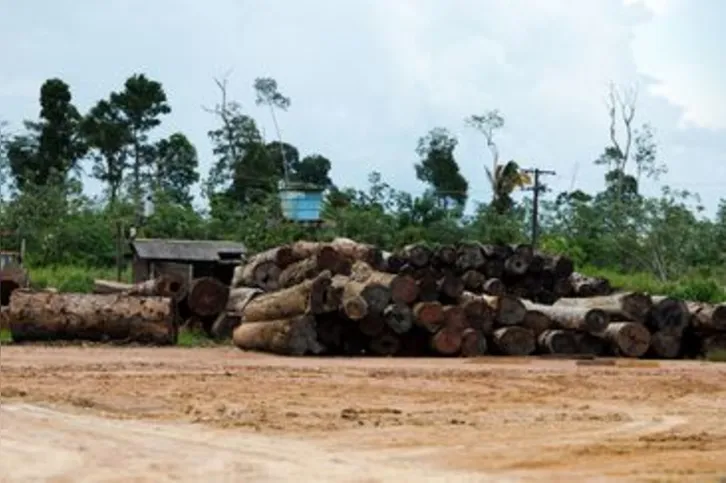 Imagem ilustrativa da imagem Meio ambiente: transição para economia de baixo carbono é prioridade