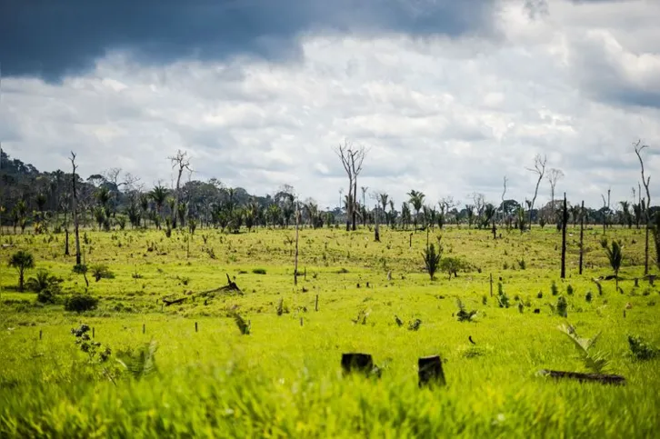 Imagem ilustrativa da imagem Meio ambiente: transição para economia de baixo carbono é prioridade