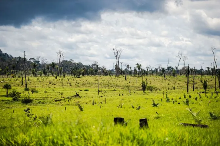 Imagem ilustrativa da imagem Meio ambiente: transição para economia de baixo carbono é prioridade