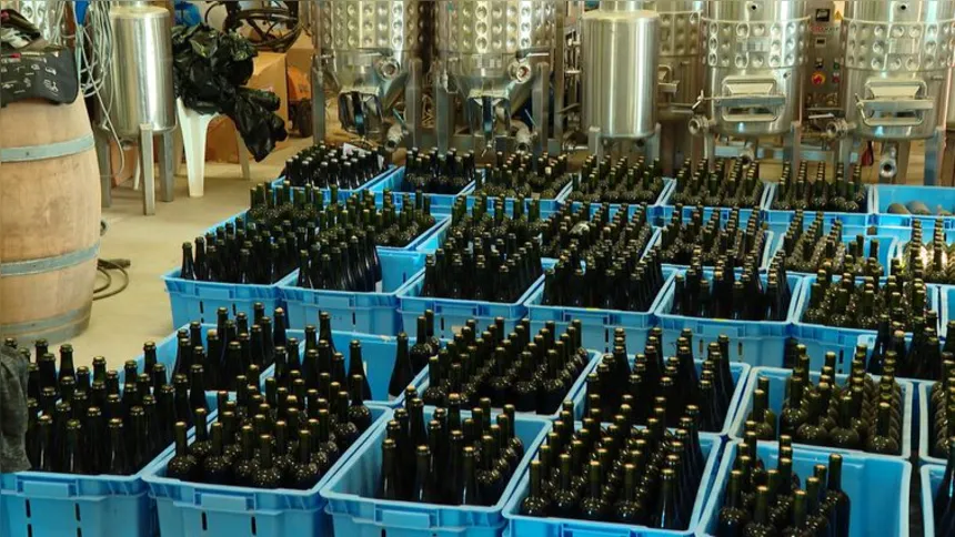 Imagem ilustrativa da imagem Na região dos pampas, o ressurgimento da tradição do vinho