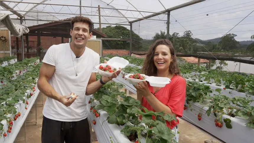 Imagem ilustrativa da imagem TV Brasil estreia produções seriadas neste fim de semana