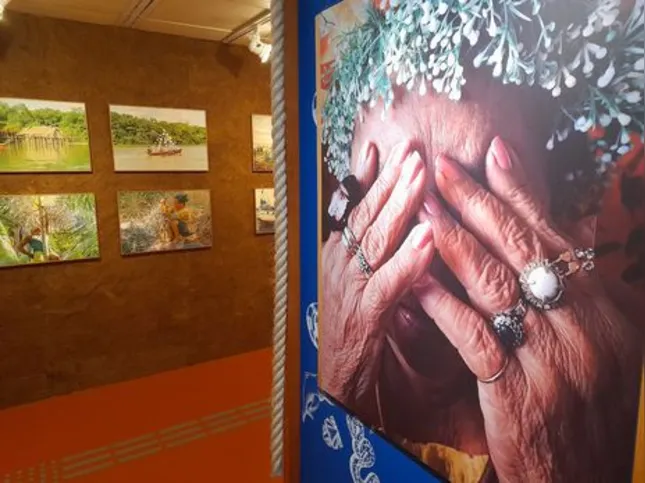 Imagem ilustrativa da imagem Exposição em SP celebra Dona Onete, a rainha do carimbó chamegado