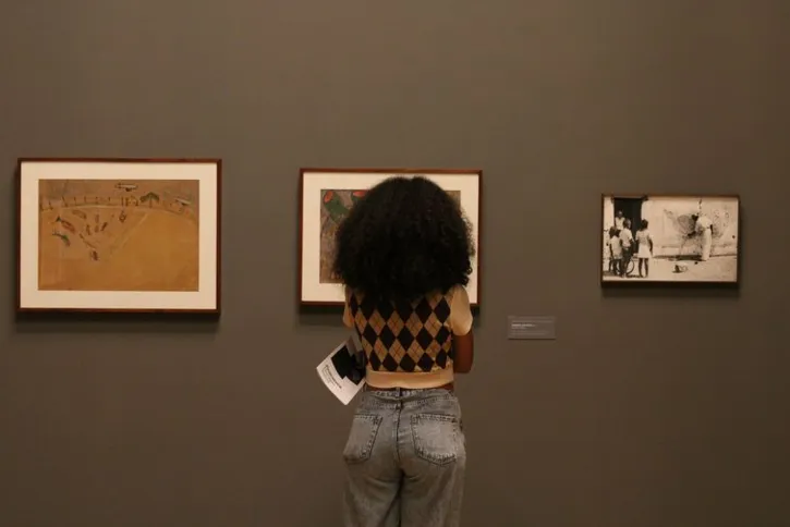 Imagem ilustrativa da imagem Pinacoteca de São Paulo apresenta mostra panorâmica de Chico da Silva