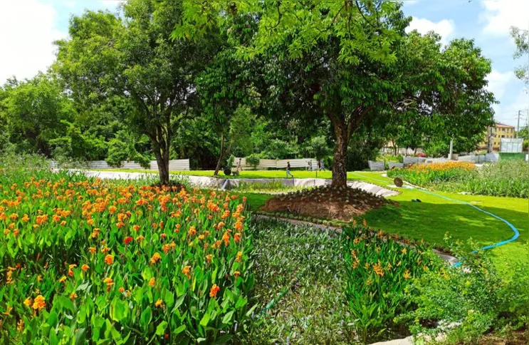 Imagem ilustrativa da imagem Jardins filtrantes despoluem águas de riacho que desagua no Capibaribe
