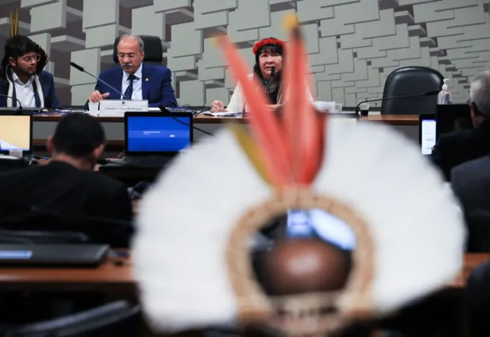 Imagem ilustrativa da imagem Presidenta da Funai elege medidas urgentes para terra Yanomami
